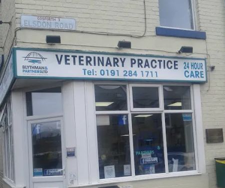 Blythman & Partners - Gosforth Veterinary Hospital
