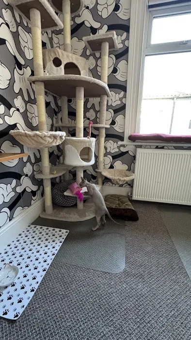 The Cat's Pyjamas Hotel Picture 2