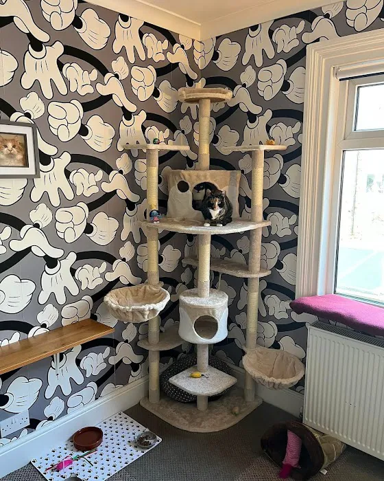 The Cat's Pyjamas Hotel Picture 5