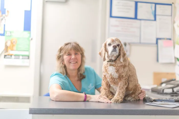 Robson & Prescott Veterinary Practice Picture 9