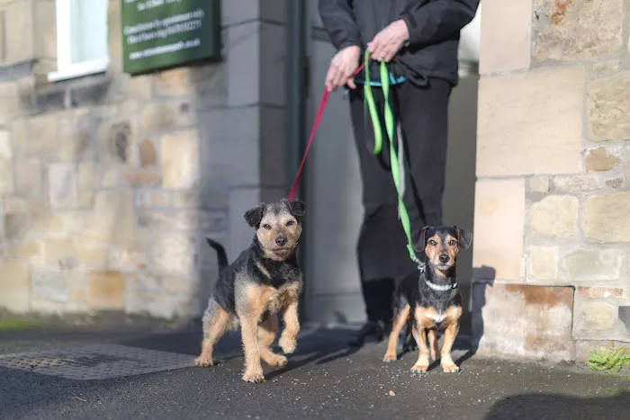 Robson & Prescott Veterinary Practice Picture 5