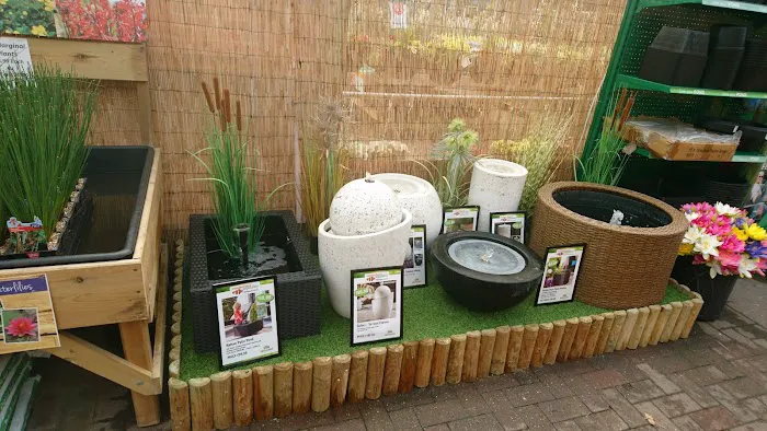 Maidenhead Aquatics Gosforth Picture 5