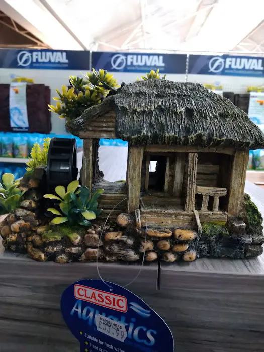 Maidenhead Aquatics Gosforth Picture 7