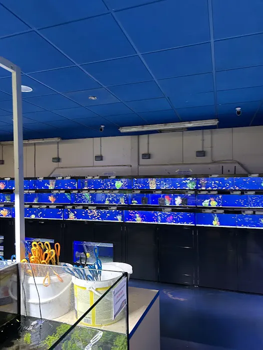 Maidenhead Aquatics Gosforth Picture 10