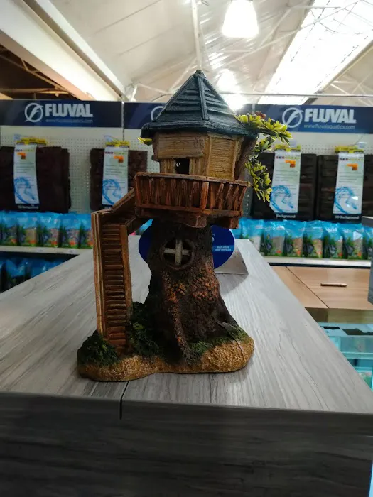 Maidenhead Aquatics Gosforth Picture 6