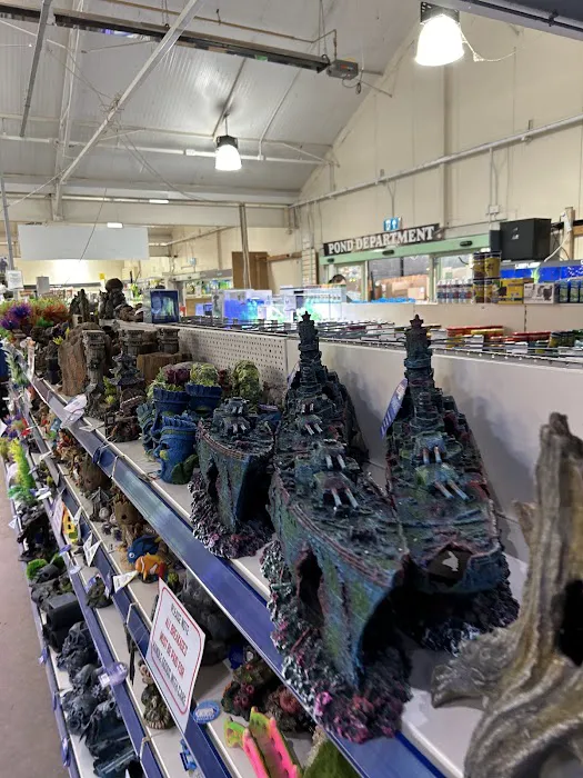 Maidenhead Aquatics Gosforth Picture 9