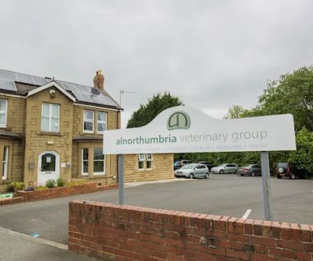 Alnorthumbria Veterinary Group - Morpeth