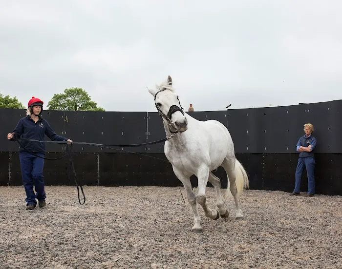 Alnorthumbria Equine Vets Picture 1