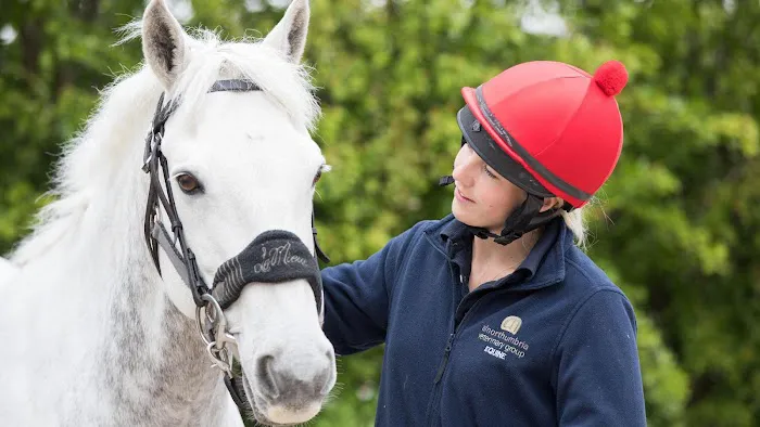 Alnorthumbria Equine Vets Picture 5