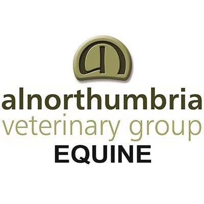 Alnorthumbria Equine Vets Picture 2