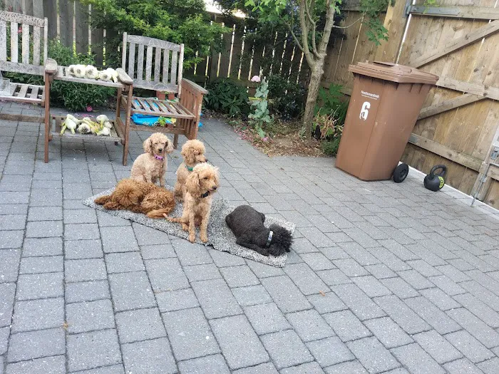 Vets4Pets - Morpeth Picture 2