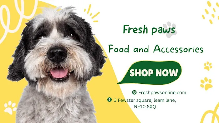 Fresh paws Picture 3