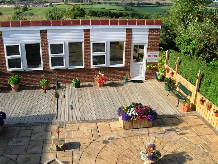 Todhills Cattery Picture 7