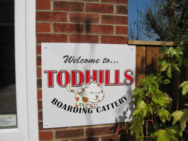 Todhills Cattery Picture 2