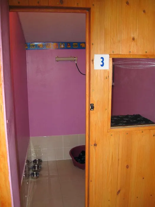 Todhills Cattery Picture 4