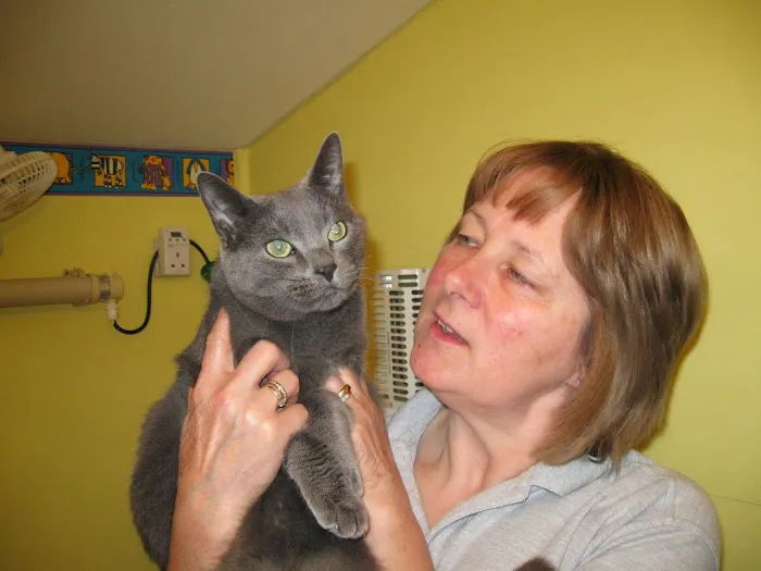 Todhills Cattery Picture 5
