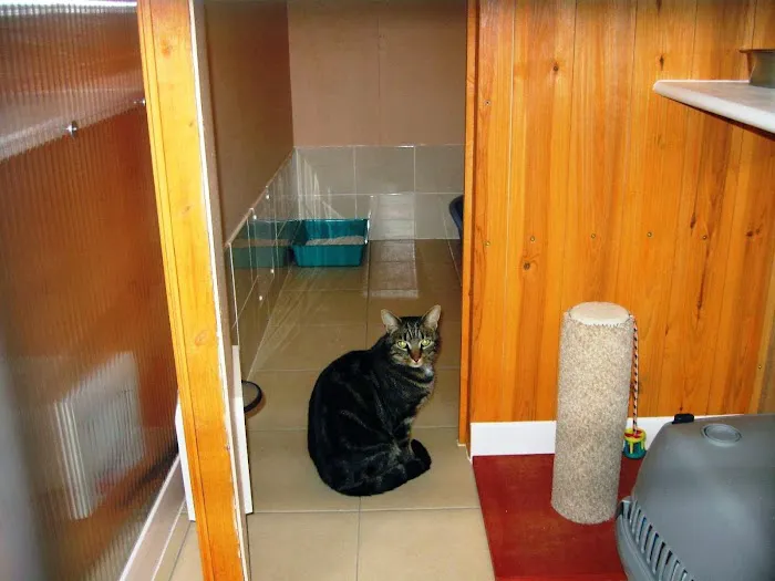 Todhills Cattery Picture 1