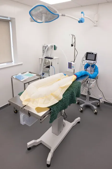 Castle Veterinary Surgeons - Bishop Auckland Picture 2