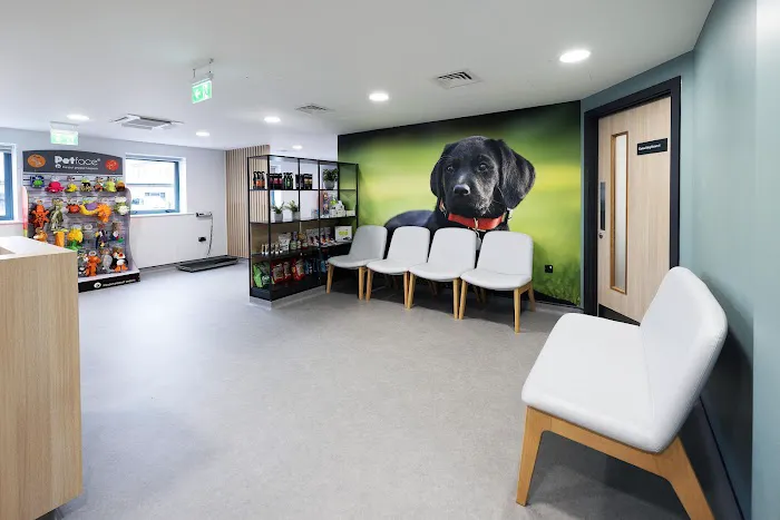 Castle Veterinary Surgeons - Bishop Auckland Picture 3