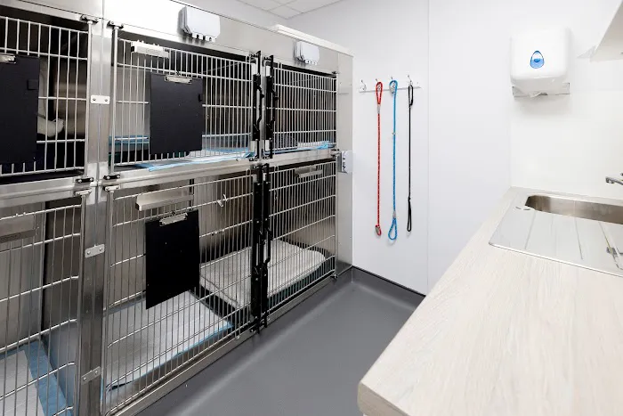 Castle Veterinary Surgeons - Bishop Auckland Picture 1