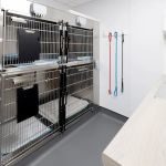 Castle Veterinary Surgeons - Bishop Auckland