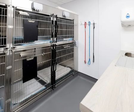 Castle Veterinary Surgeons - Bishop Auckland