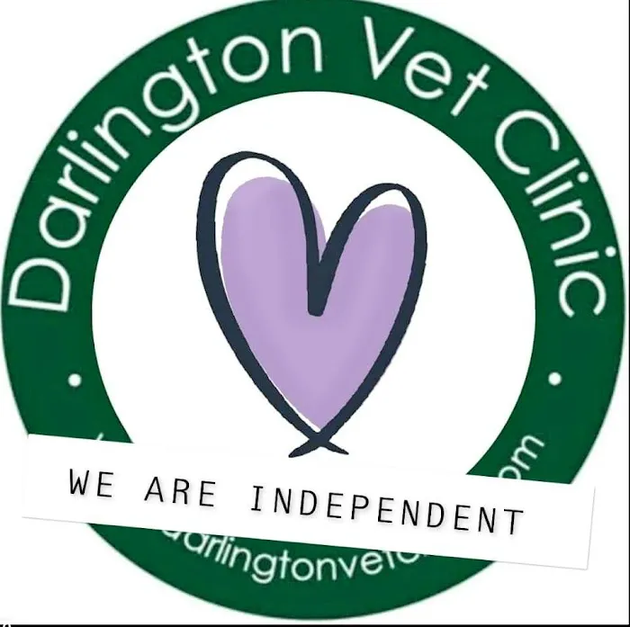 West Auckland Vet - Darlington Vet Clinic Picture 2