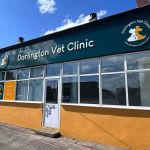 West Auckland Vet - Darlington Vet Clinic