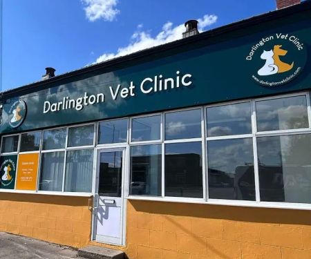 West Auckland Vet - Darlington Vet Clinic