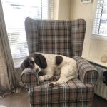Weardale Veterinary Clinic