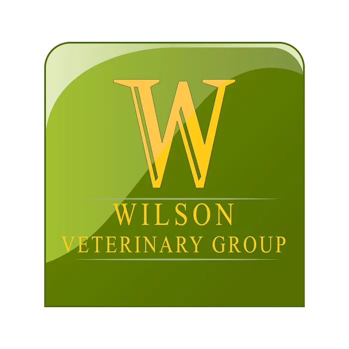 Wilson Veterinary Group, Spennymoor Picture 3