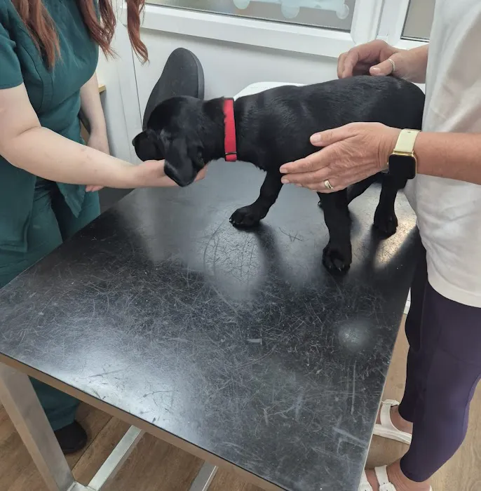 Wilson Veterinary Group, Spennymoor Picture 1