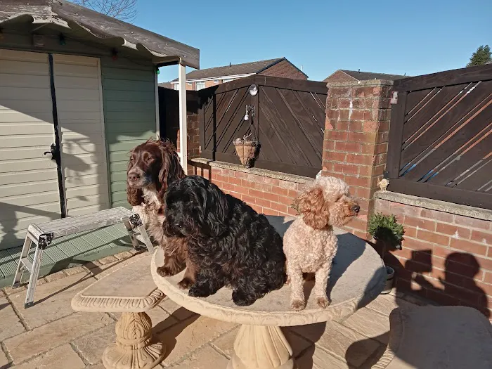 Wilson Veterinary Group, Spennymoor Picture 4