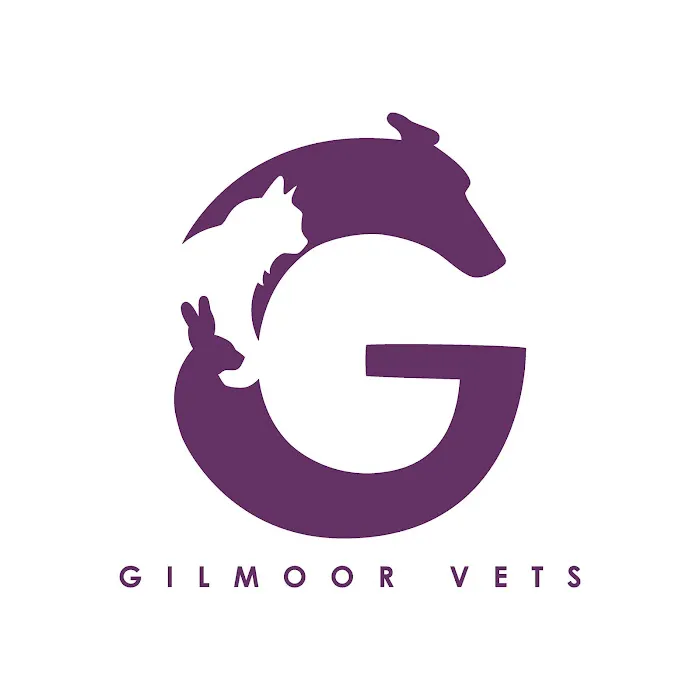Gilmoor Vets, Spennymoor Picture 8