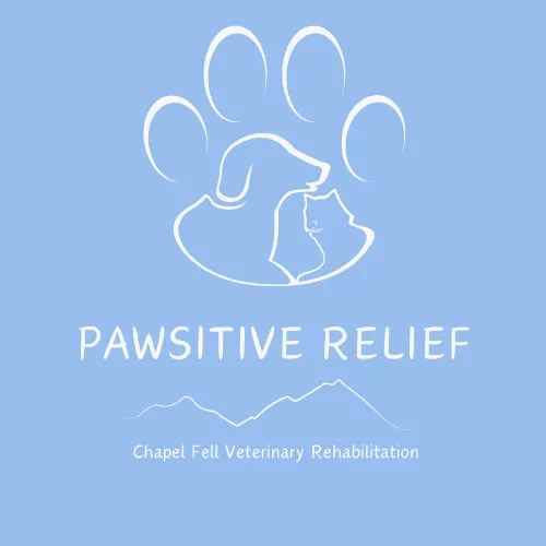 Pawsitive Relief Veterinary Rehabilitation Picture 3