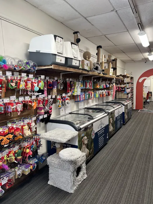 My Pet HQ Ltd Picture 9