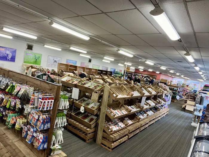 My Pet HQ Ltd Picture 4