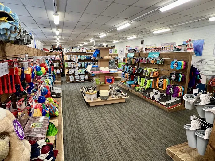 My Pet HQ Ltd Picture 8