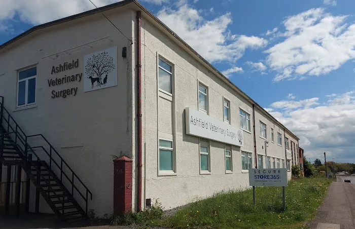Ashfield Veterinary Surgery - Durham Picture 1