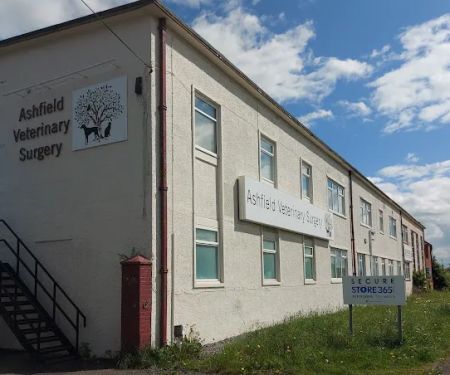 Ashfield Veterinary Surgery - Durham