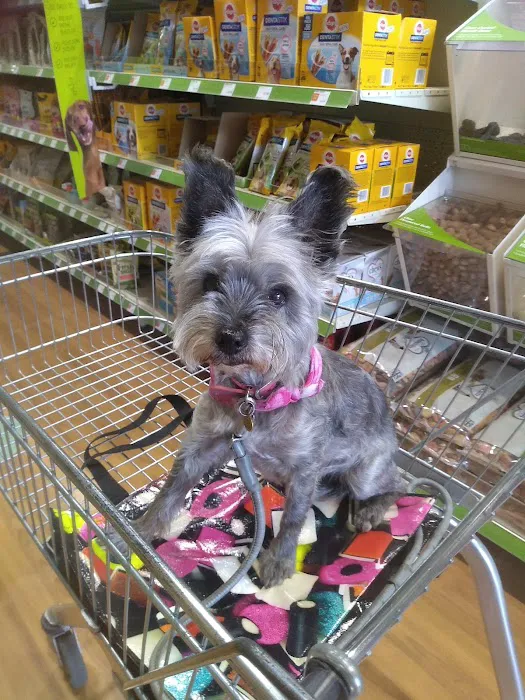 Pets at Home Morpeth Picture 2