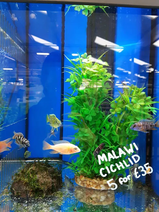 Pets & Aquatics at Plantsplus Picture 6
