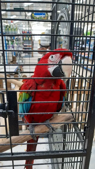 Pets & Aquatics at Plantsplus Picture 4