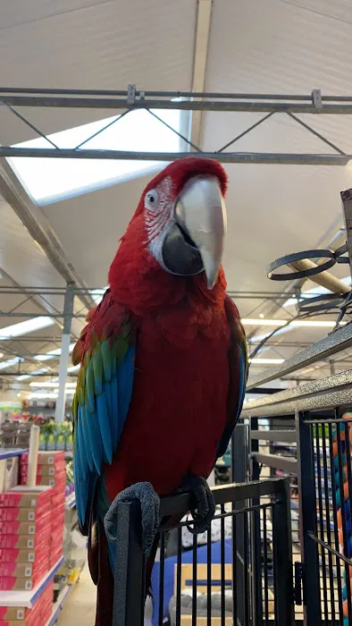 Pets & Aquatics at Plantsplus Picture 5