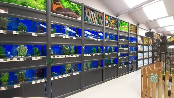 Pets & Aquatics at Plantsplus Picture 8