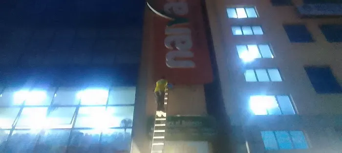 Dove Central Garden Fantail Doves Picture 1