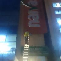 Dove Central Garden Fantail Doves ico