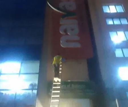 Dove Central Garden Fantail Doves