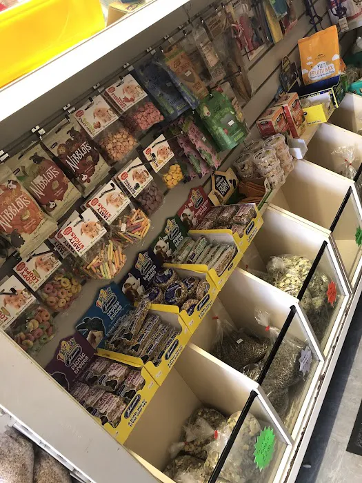 2 by 2 Pet Store Picture 5