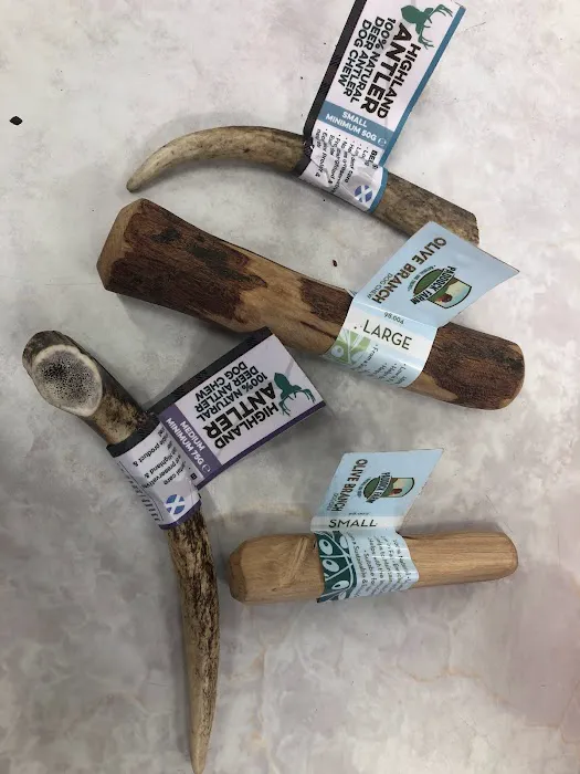 2 by 2 Pet Store Picture 6